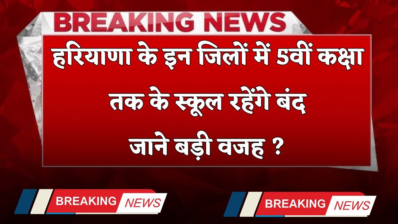 School Holidays: Up to class 5 in these districts