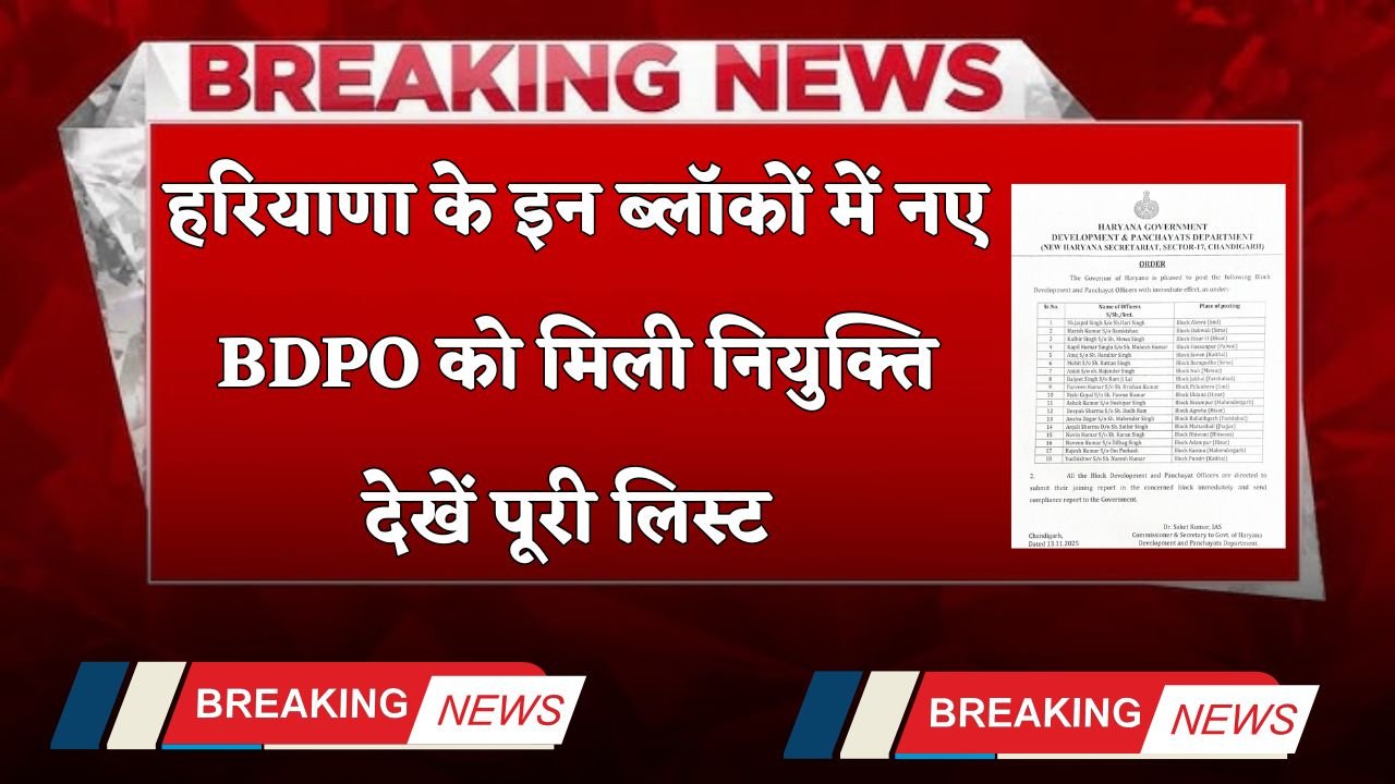 Haryana: New BDPOs have been appointed