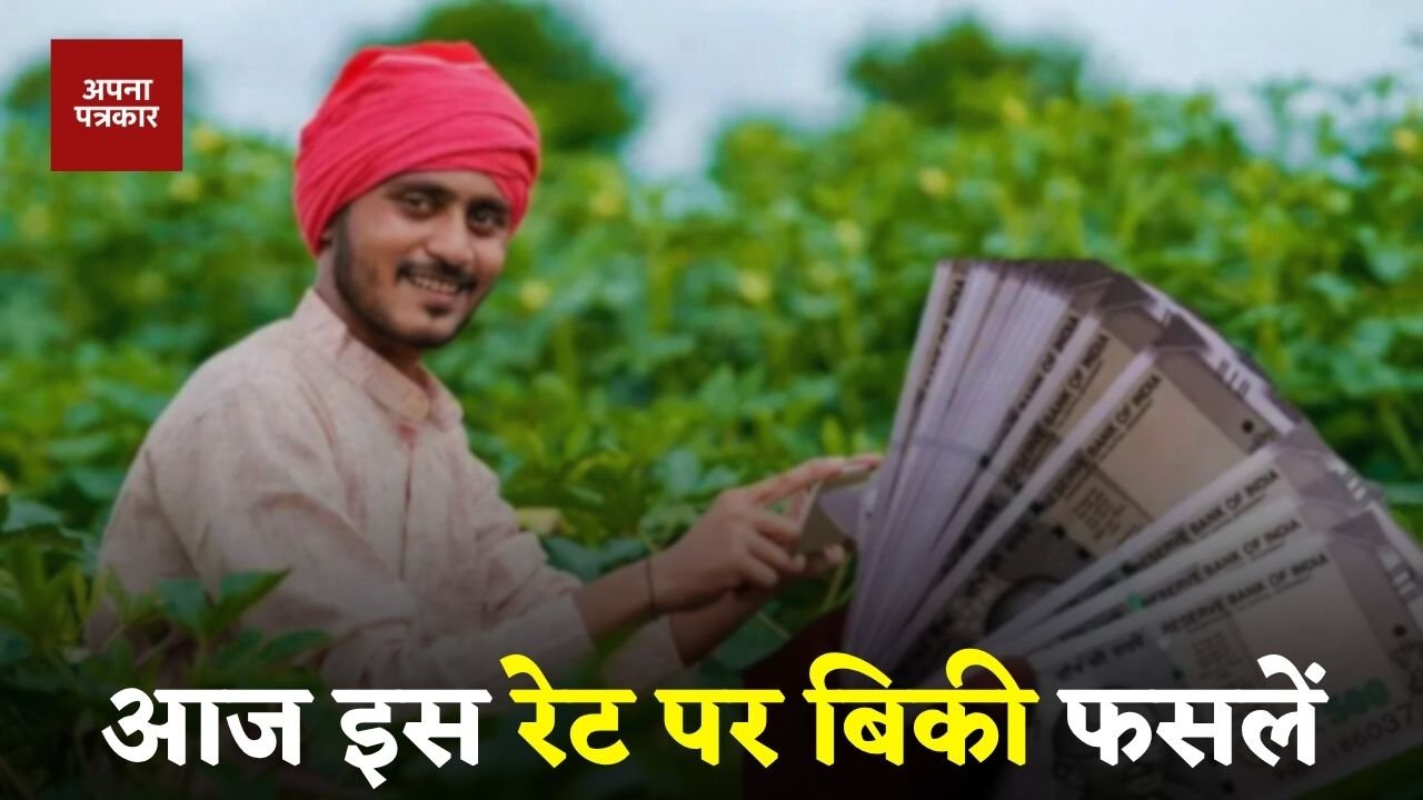 Mandi Bhav: Crops were sold at this rate in Sirsa