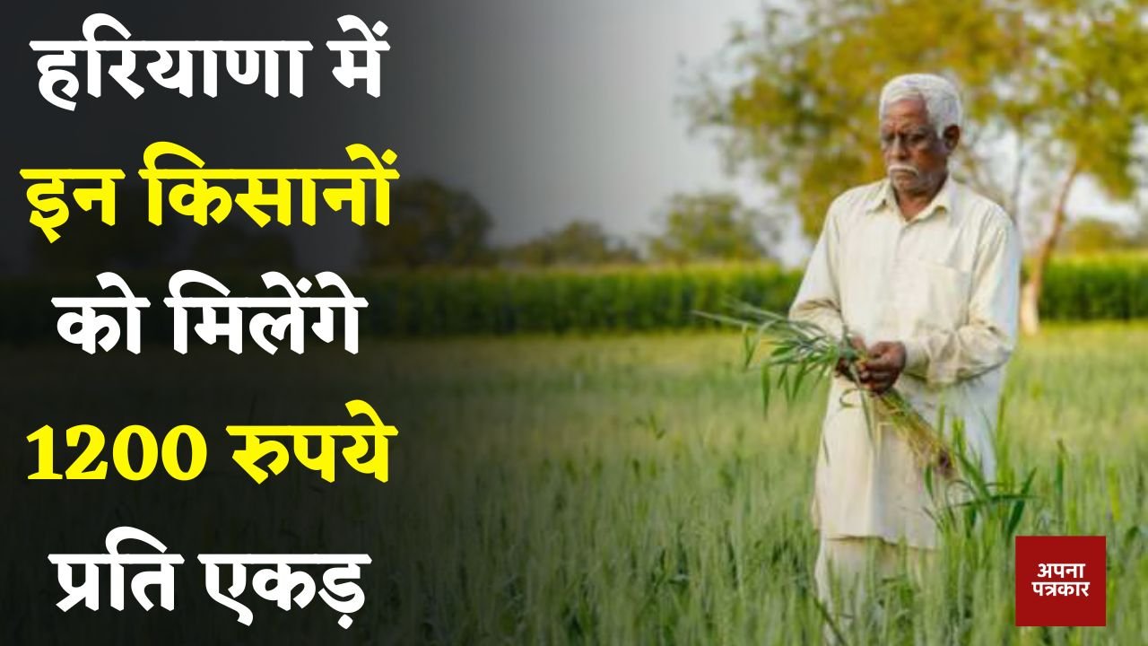 Haryana: These farmers in Haryana will get Rs 1200 per acre
