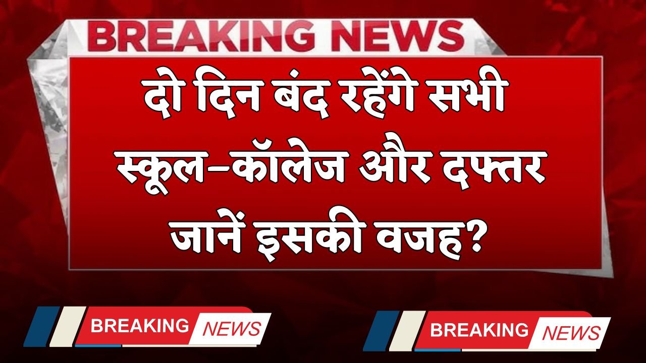 Public Holiday: All schools, colleges and offices