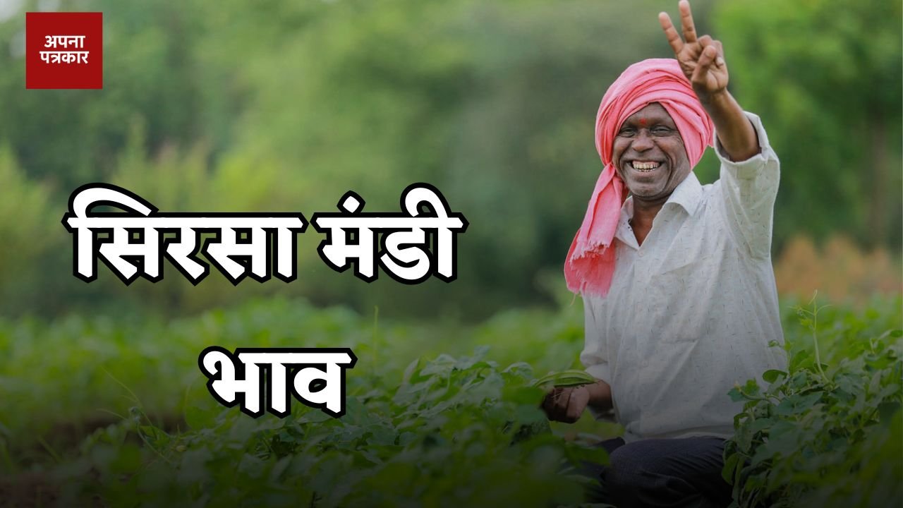 Mandi Bhav: Latest prices of Sirsa