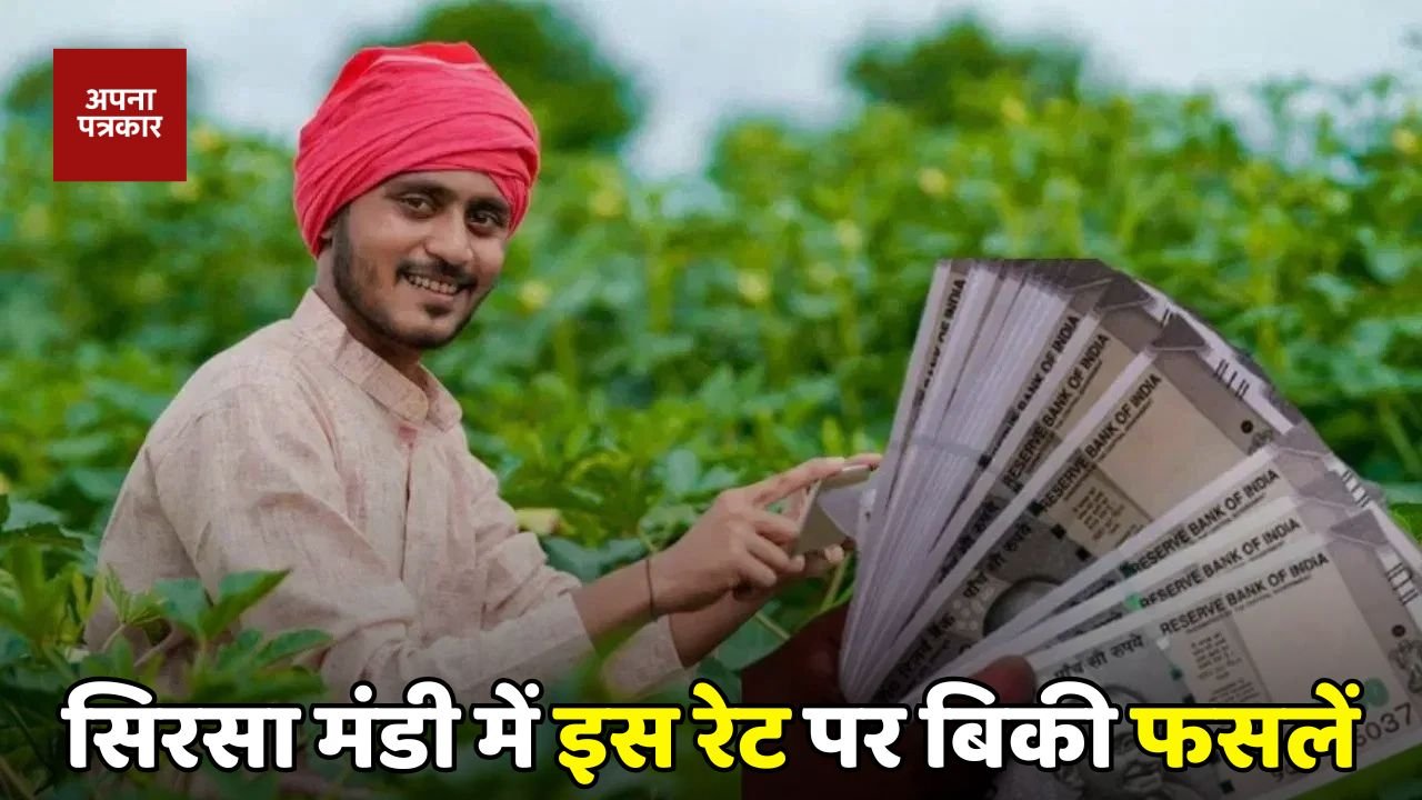 Mandi Bhav: Crops sold at this rate