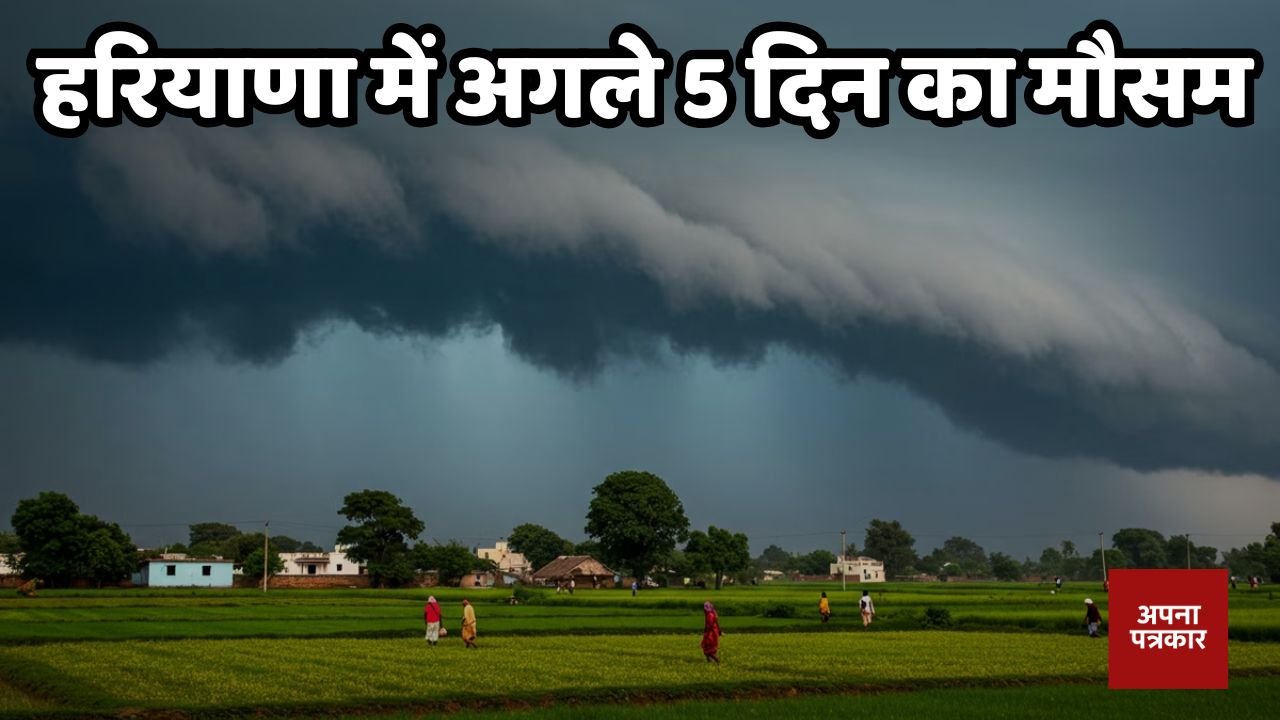 Haryana Weather: How will the weather