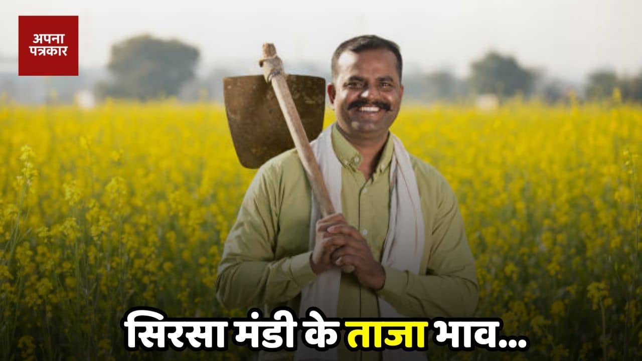 Mandi Bhav: Latest prices of Sirsa