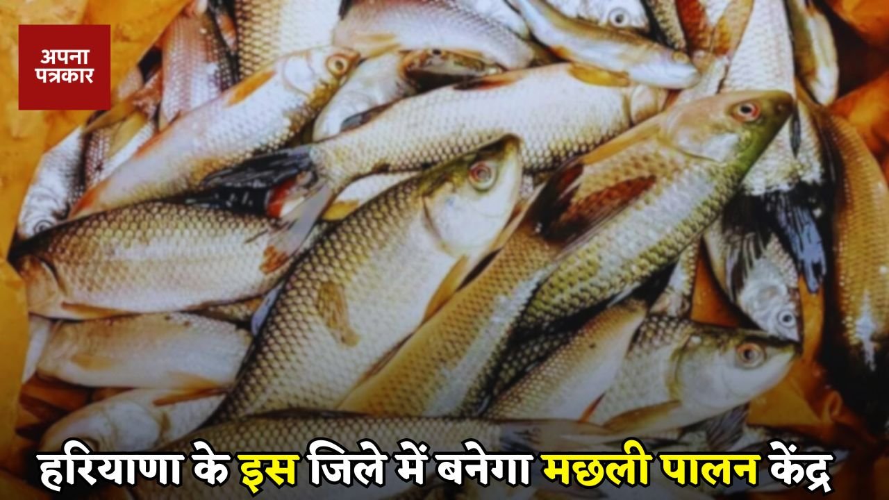 Haryana: A fish farming centre will be built