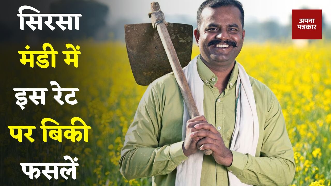 Mandi Bhav: Crops sold at this rate